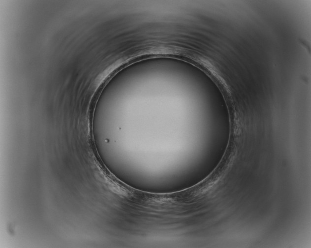 X0000100220837200806061342