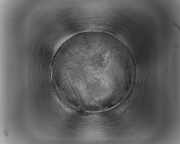 X0000100220838200806061343