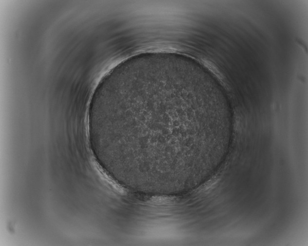 X0000100220840200806061343