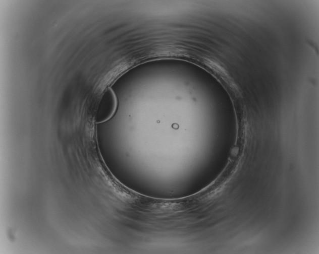 X0000100220841200806061343