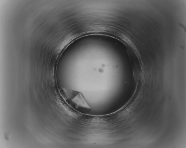 X0000100220842200806061343