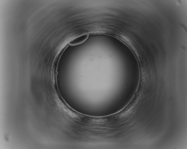 X0000100220843200806061343