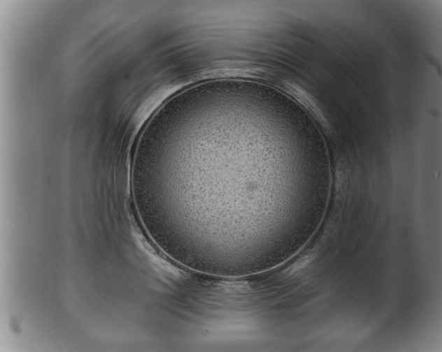 X0000100220844200806061343