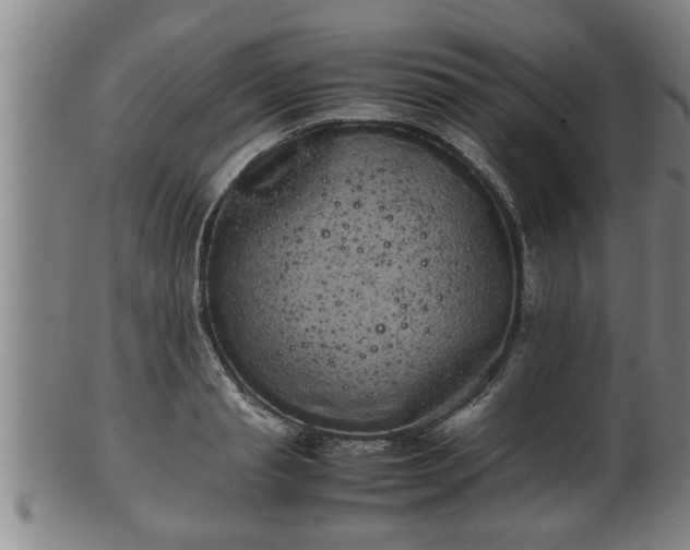 X0000100220845200806061343