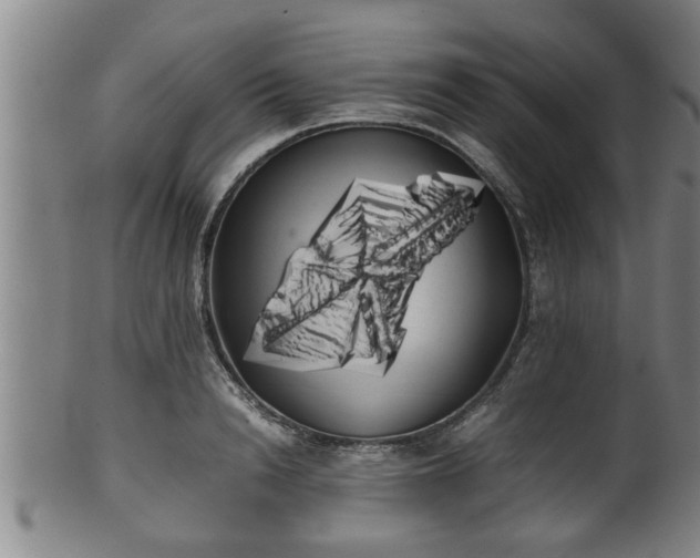 X0000100220846200806061343