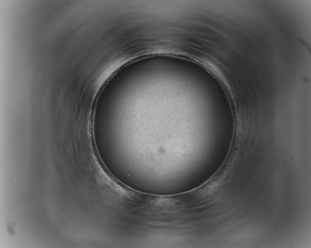 X0000100220847200806061343