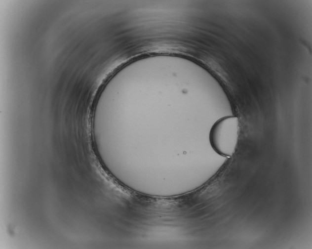 X0000100220848200806061343