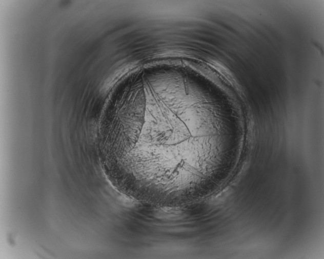 X0000100220849200806061343