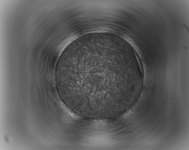 X0000100220850200806061343