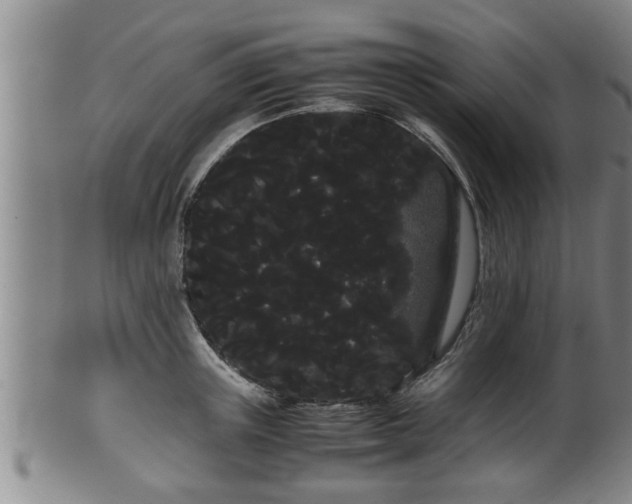 X0000100220851200806061343