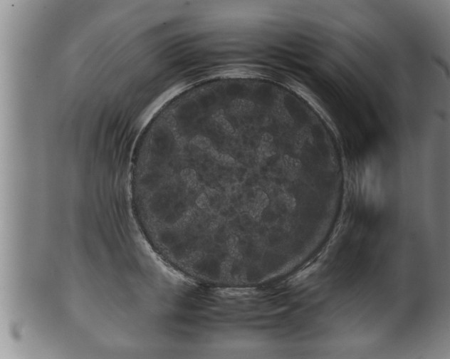 X0000100220853200806061343