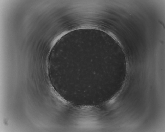 X0000100220854200806061343