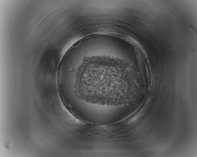 X0000100220855200806061343