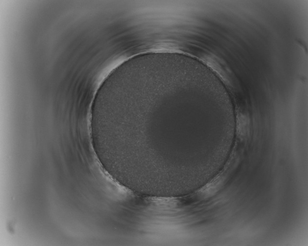 X0000100220856200806061343