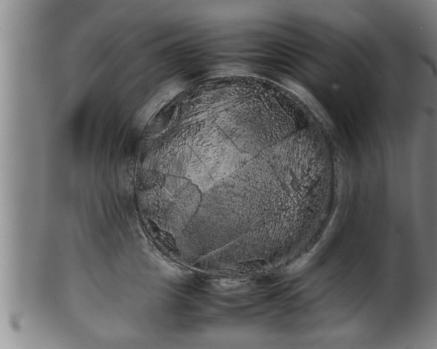 X0000100220857200806061343