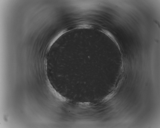 X0000100220859200806061343