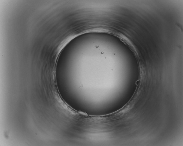 X0000100220860200806061343