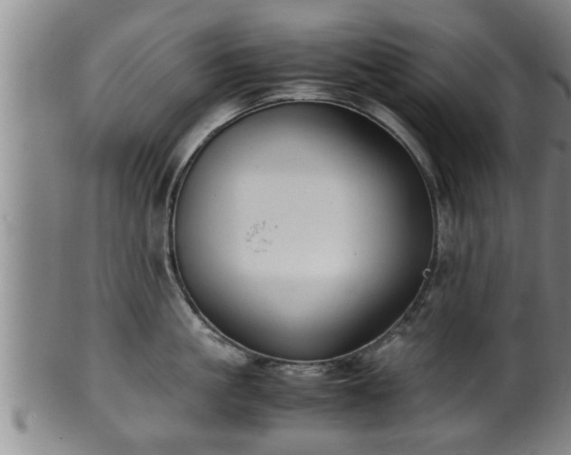 X0000100220861200806061343