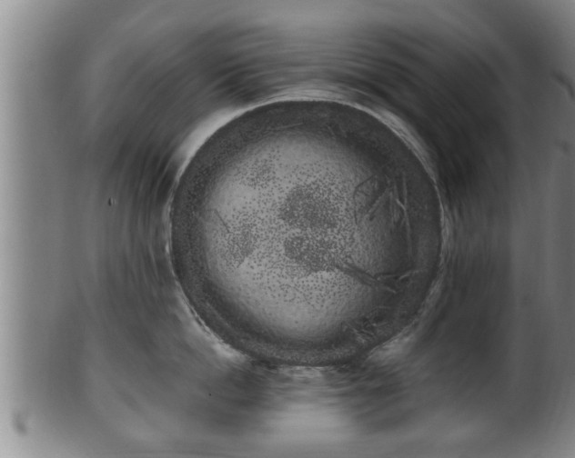 X0000100220862200806061343