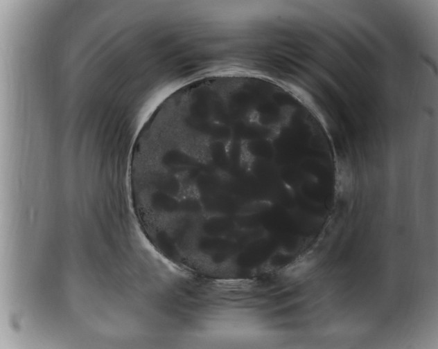 X0000100220863200806061343