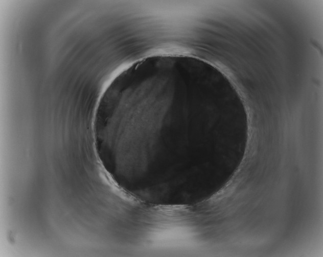 X0000100220864200806061343