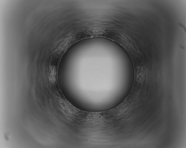 X0000100220866200806061342