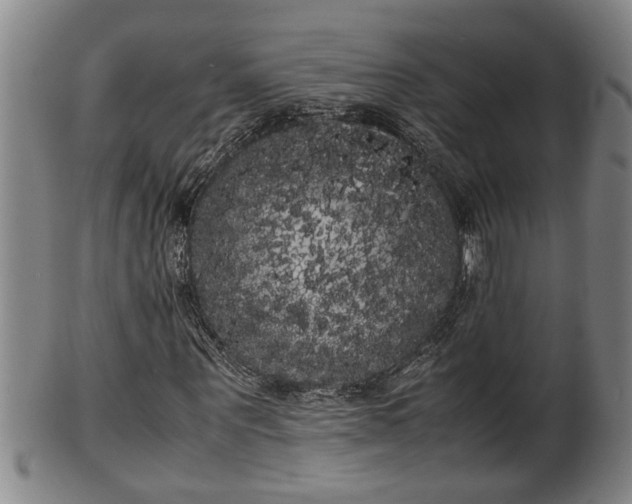 X0000100220867200806061342