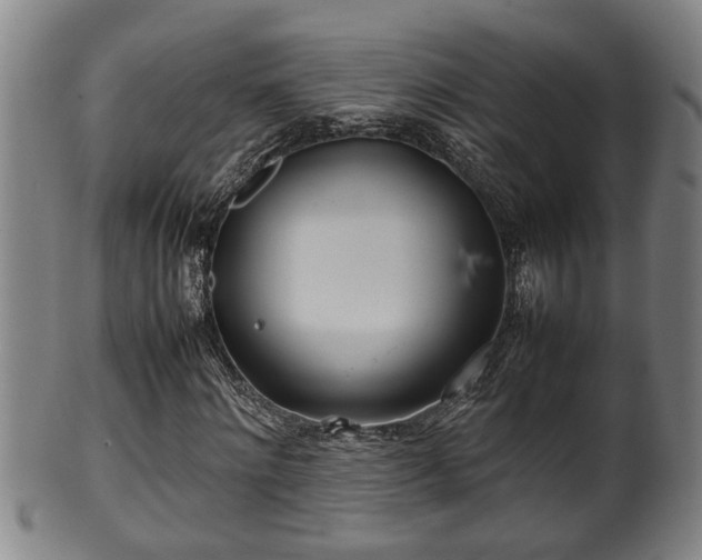 X0000100220868200806061342