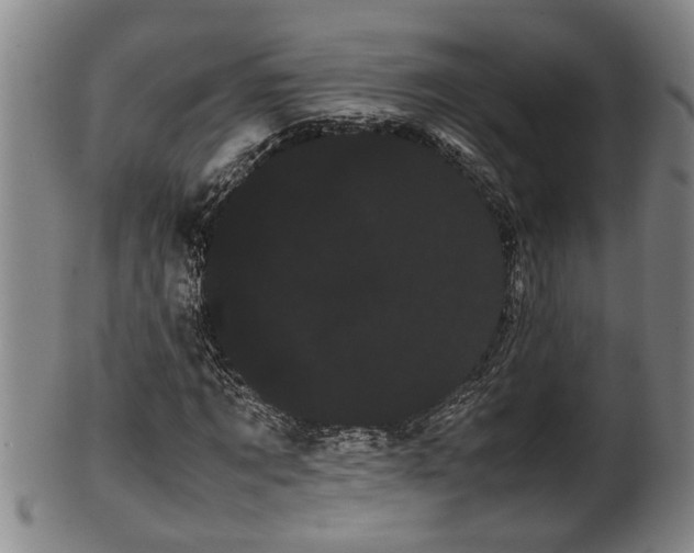 X0000100220869200806061342