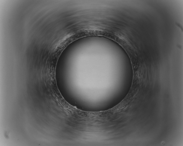 X0000100220870200806061342