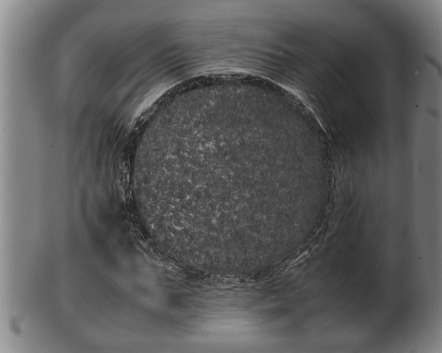 X0000100220871200806061342