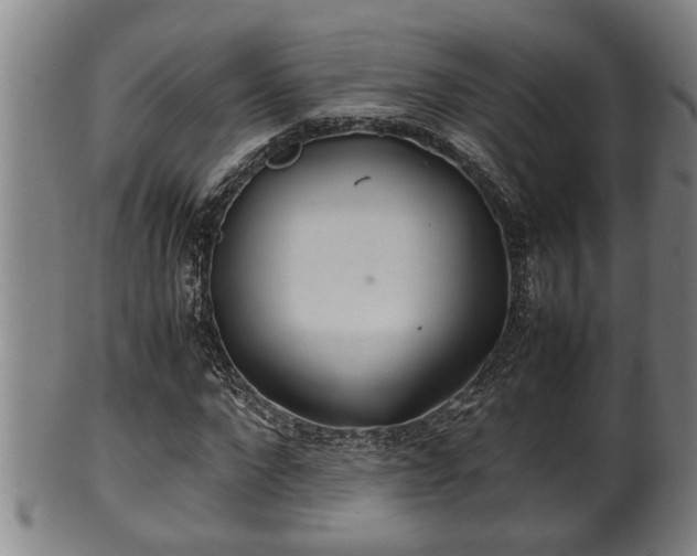 X0000100220872200806061342