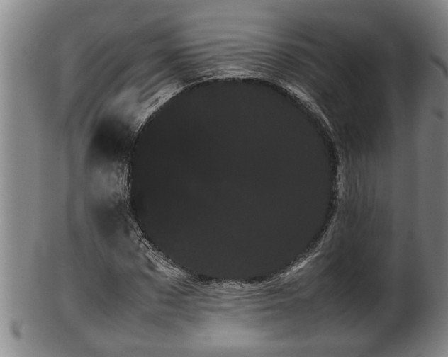 X0000100220873200806061342