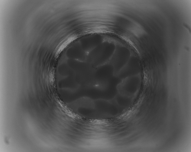 X0000100220874200806061342