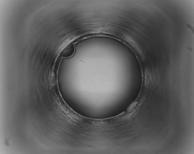 X0000100220876200806061342