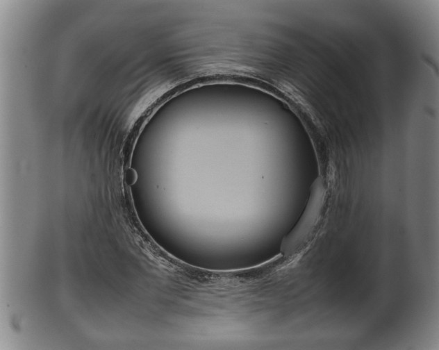 X0000100220877200806061342