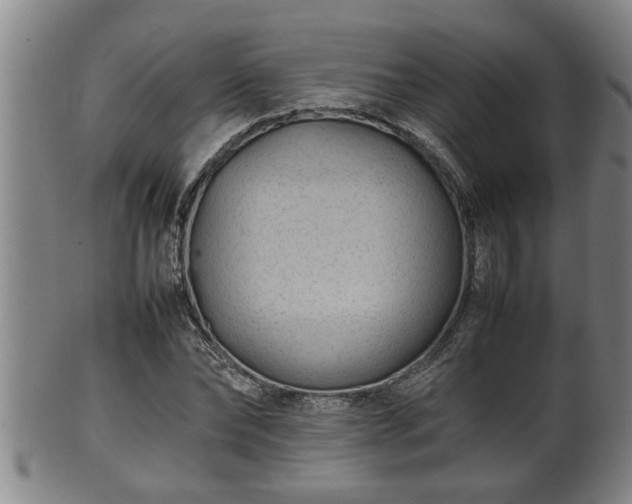 X0000100220878200806061342