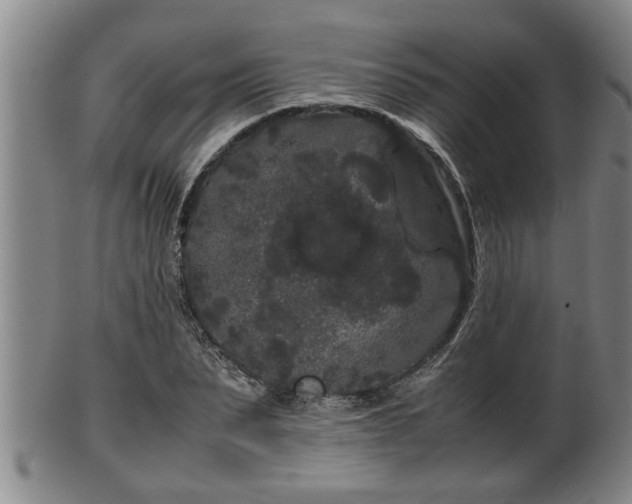 X0000100220879200806061342