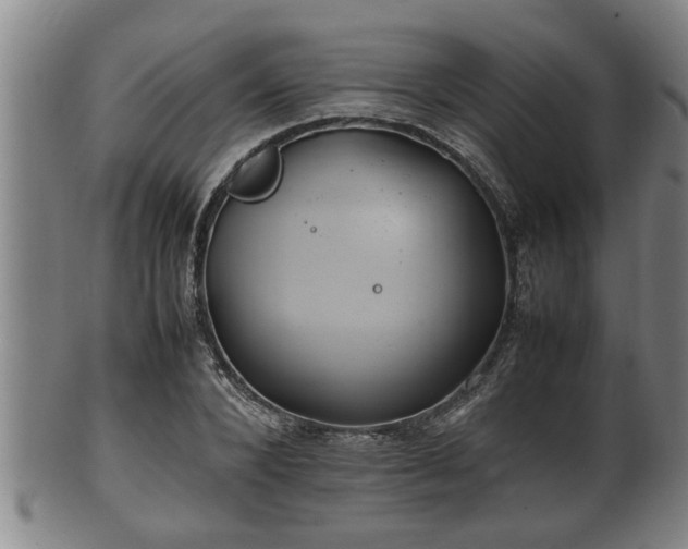 X0000100220880200806061342