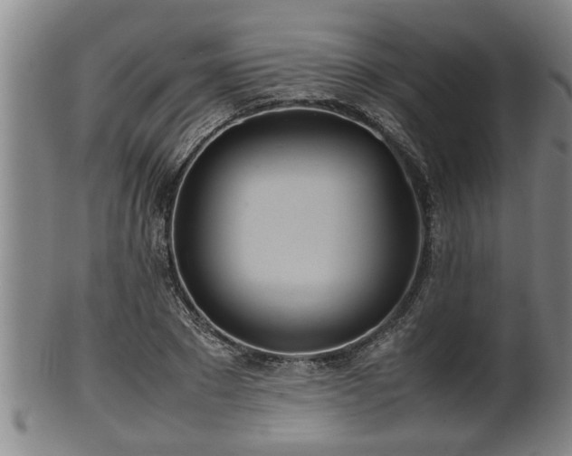 X0000100220881200806061342