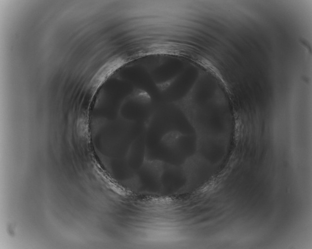 X0000100220882200806061342