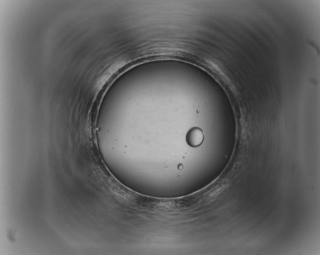 X0000100220883200806061342