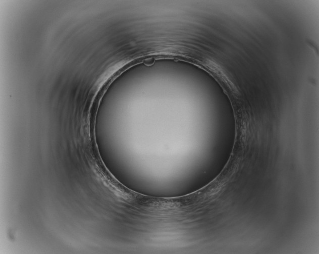 X0000100220884200806061342