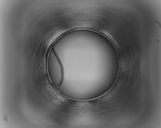 X0000100220886200806061342