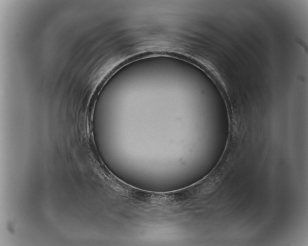 X0000100220887200806061342