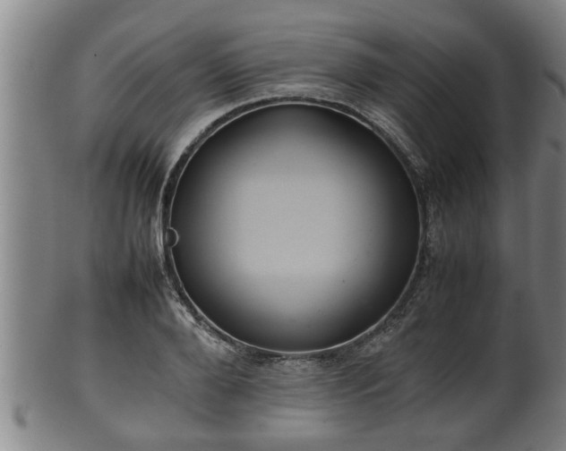 X0000100220888200806061342