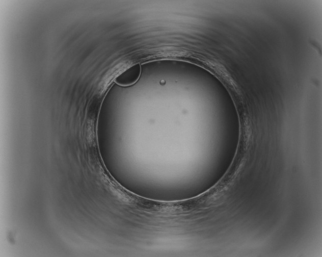 X0000100220889200806061342