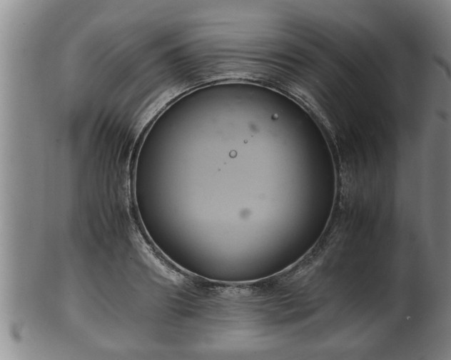 X0000100220890200806061342