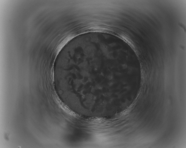 X0000100220891200806061342