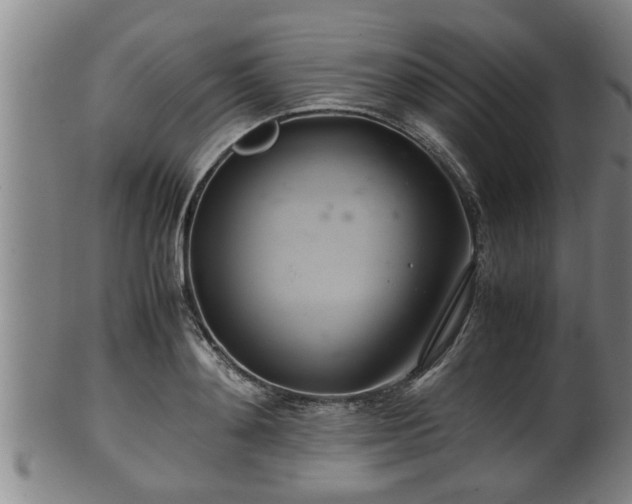 X0000100220892200806061342